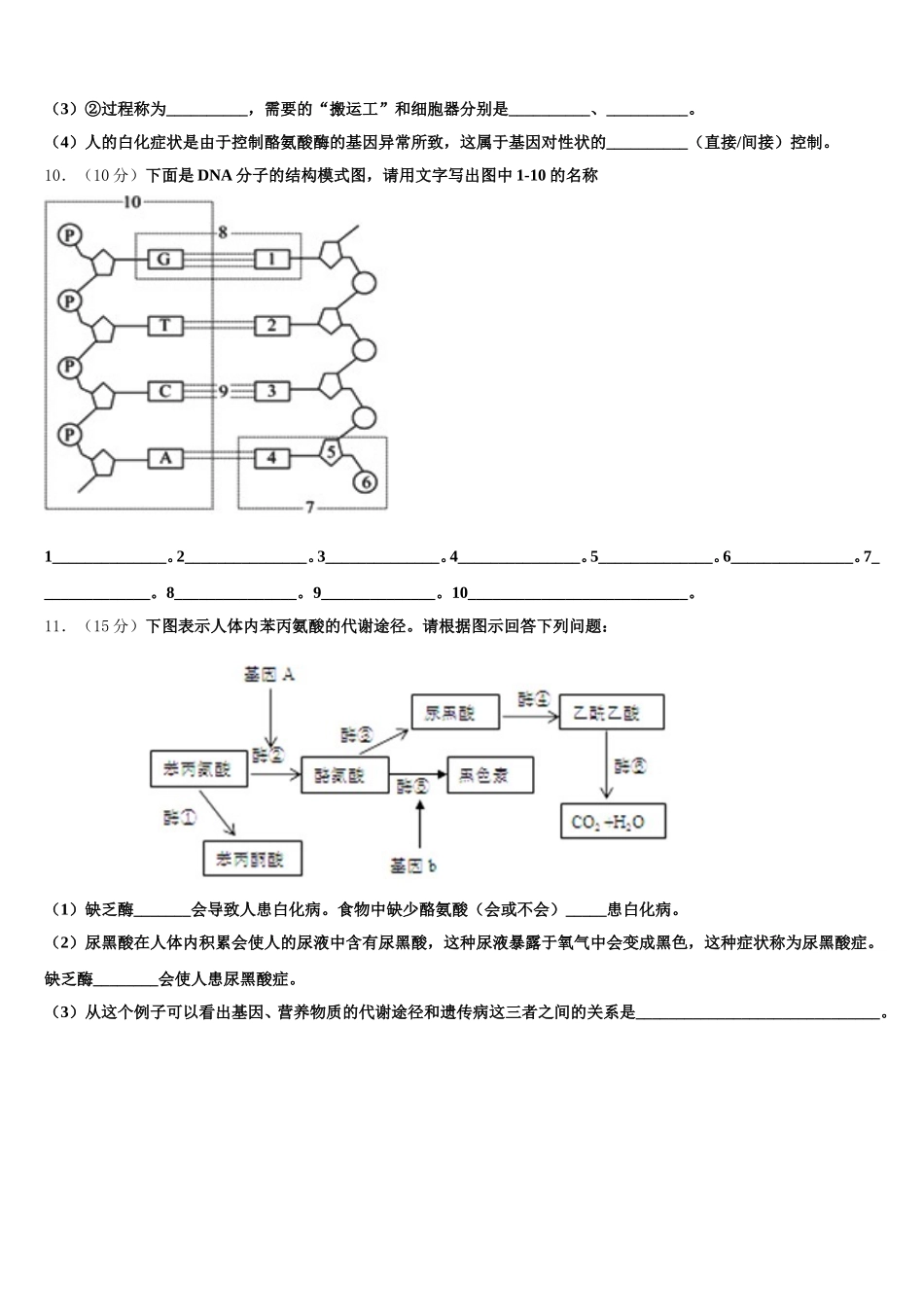 2024-2025学年深圳市平湖中学高一下生物期末达标检测模拟试题含解析_第3页
