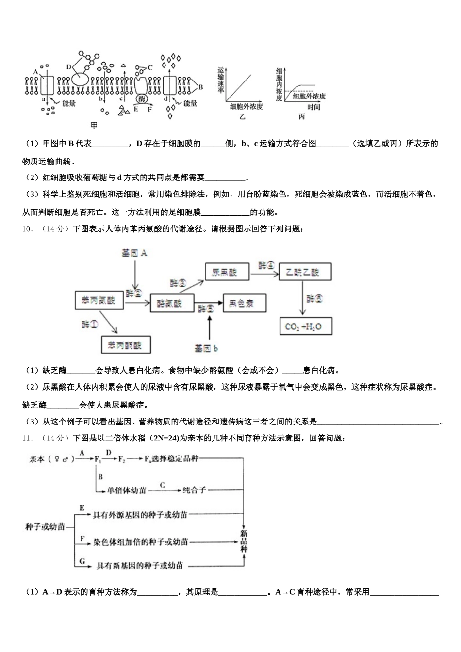 2024-2025学年广东省梅县高级中学、大埔县虎山中学高一下生物期末监测试题含解析_第3页
