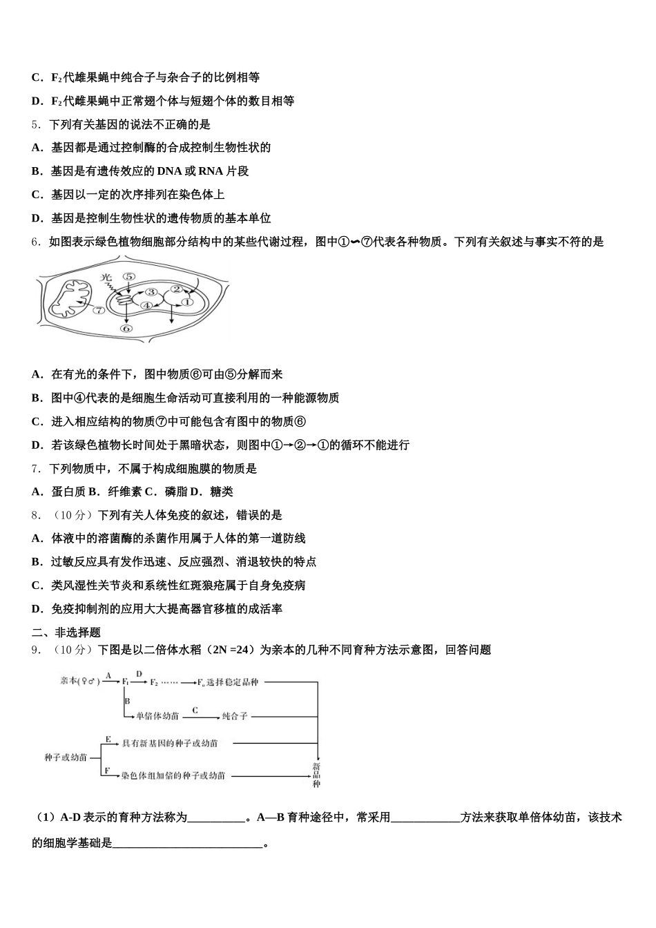 2024-2025学年广东省广州荔湾区真光中学生物高一下期末学业质量监测模拟试题含解析_第2页