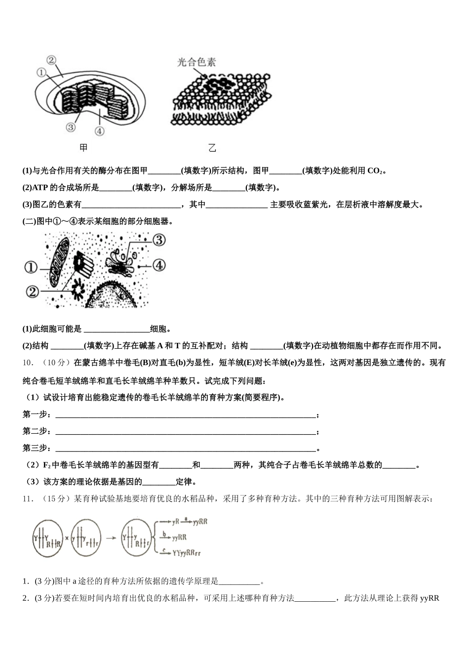 2024-2025学年广东省肇庆市省部分重点中学生物高一下期末综合测试模拟试题含解析_第3页