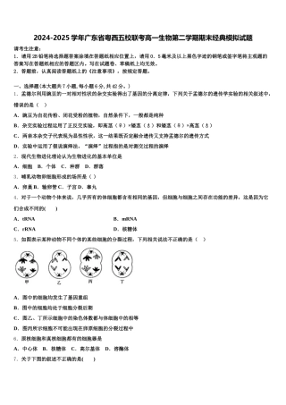 2024-2025学年广东省粤西五校联考高一生物第二学期期末经典模拟试题含解析