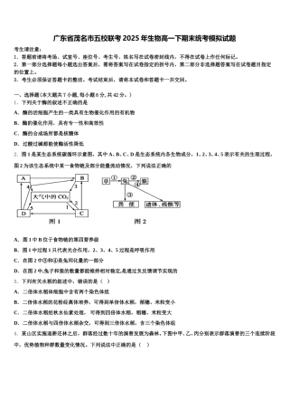 广东省茂名市五校联考2025年生物高一下期末统考模拟试题含解析