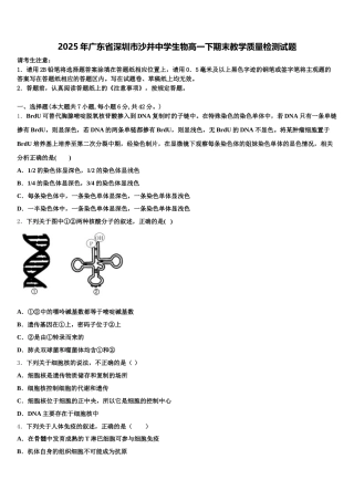 2025年广东省深圳市沙井中学生物高一下期末教学质量检测试题含解析