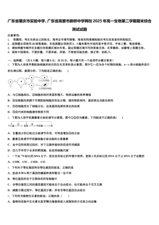 广东省肇庆市实验中学、广东省高要市新桥中学两校2025年高一生物第二学期期末综合测试试题含解析