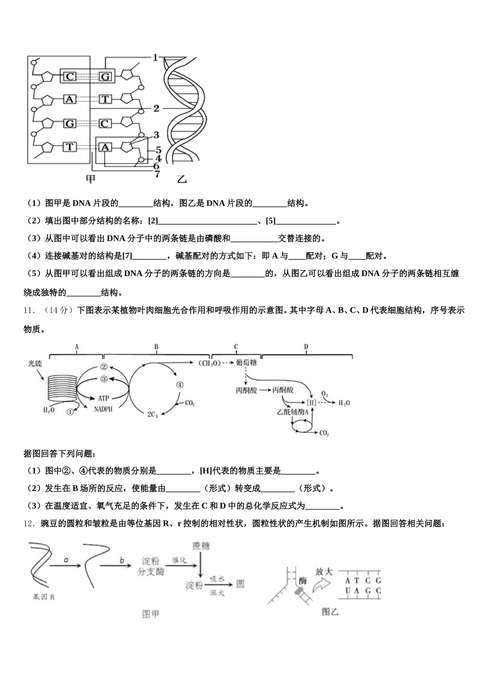 广州顺德区2025届生物高一下期末综合测试试题含解析_第3页