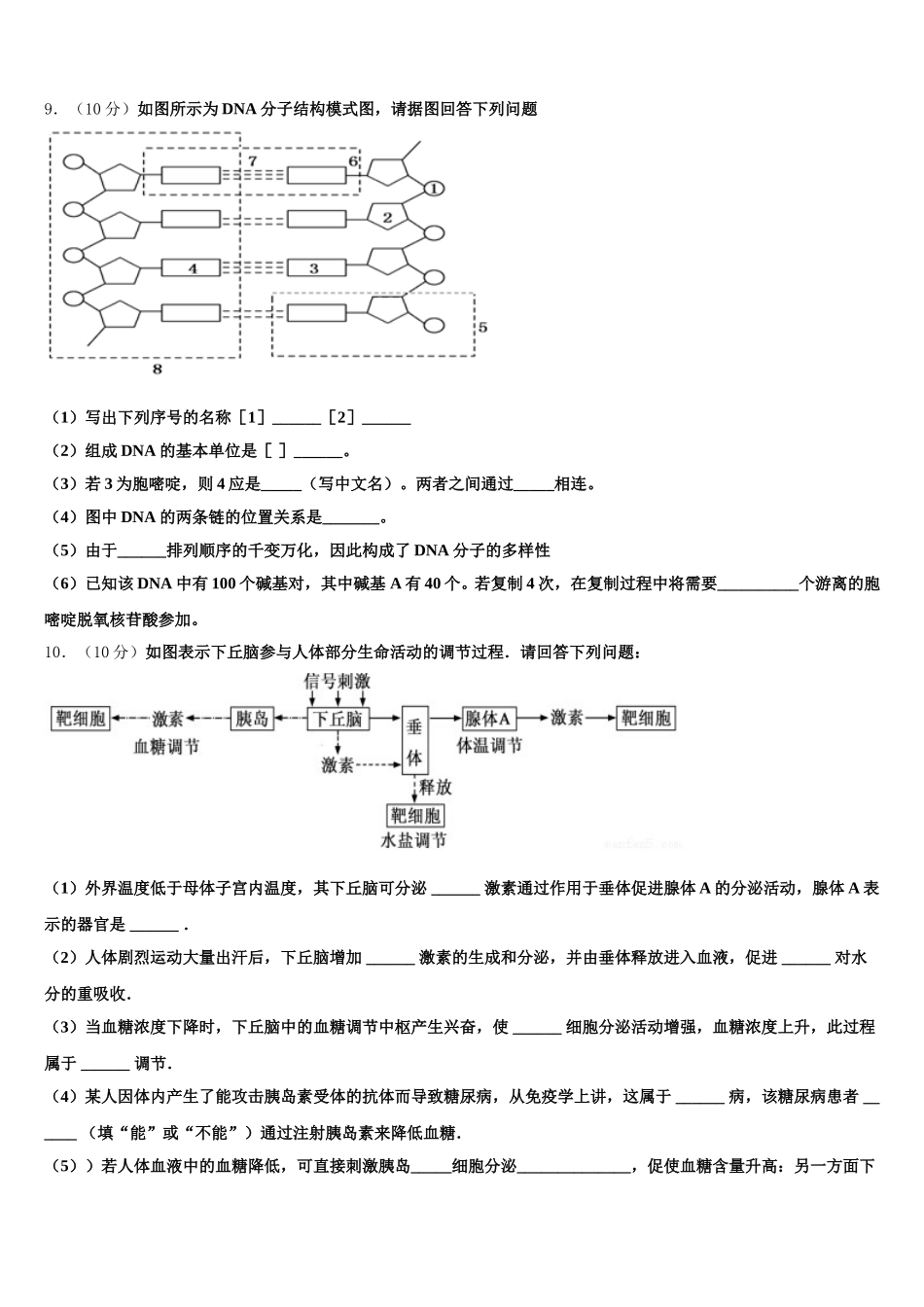 2024-2025学年广东省广雅中学高一下生物期末调研模拟试题含解析_第3页
