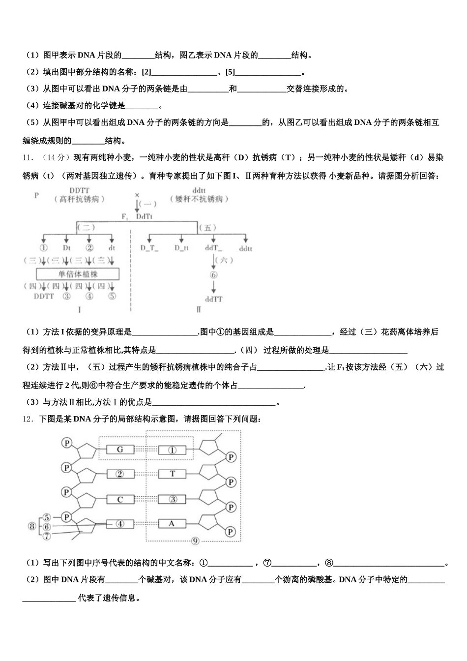 广东省普宁市华美实验中学2025年生物高一下期末考试试题含解析_第3页