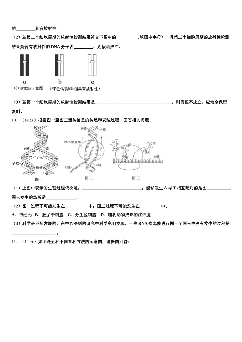 2024-2025学年广东省深圳市龙文教育高一生物第二学期期末调研模拟试题含解析_第3页