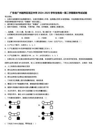 广东省广州越秀区培正中学2024-2025学年生物高一第二学期期末考试试题含解析