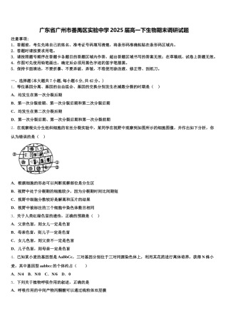 广东省广州市番禺区实验中学2025届高一下生物期末调研试题含解析