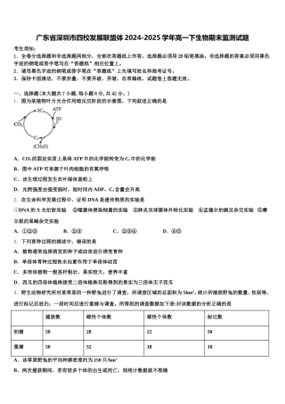 广东省深圳市四校发展联盟体2024-2025学年高一下生物期末监测试题含解析