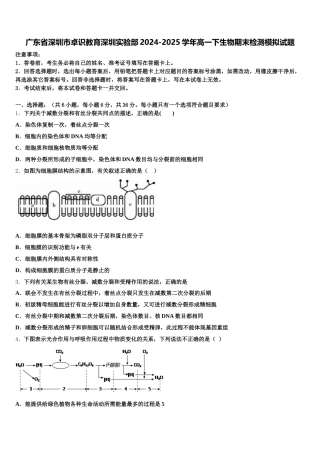 广东省深圳市卓识教育深圳实验部2024-2025学年高一下生物期末检测模拟试题含解析