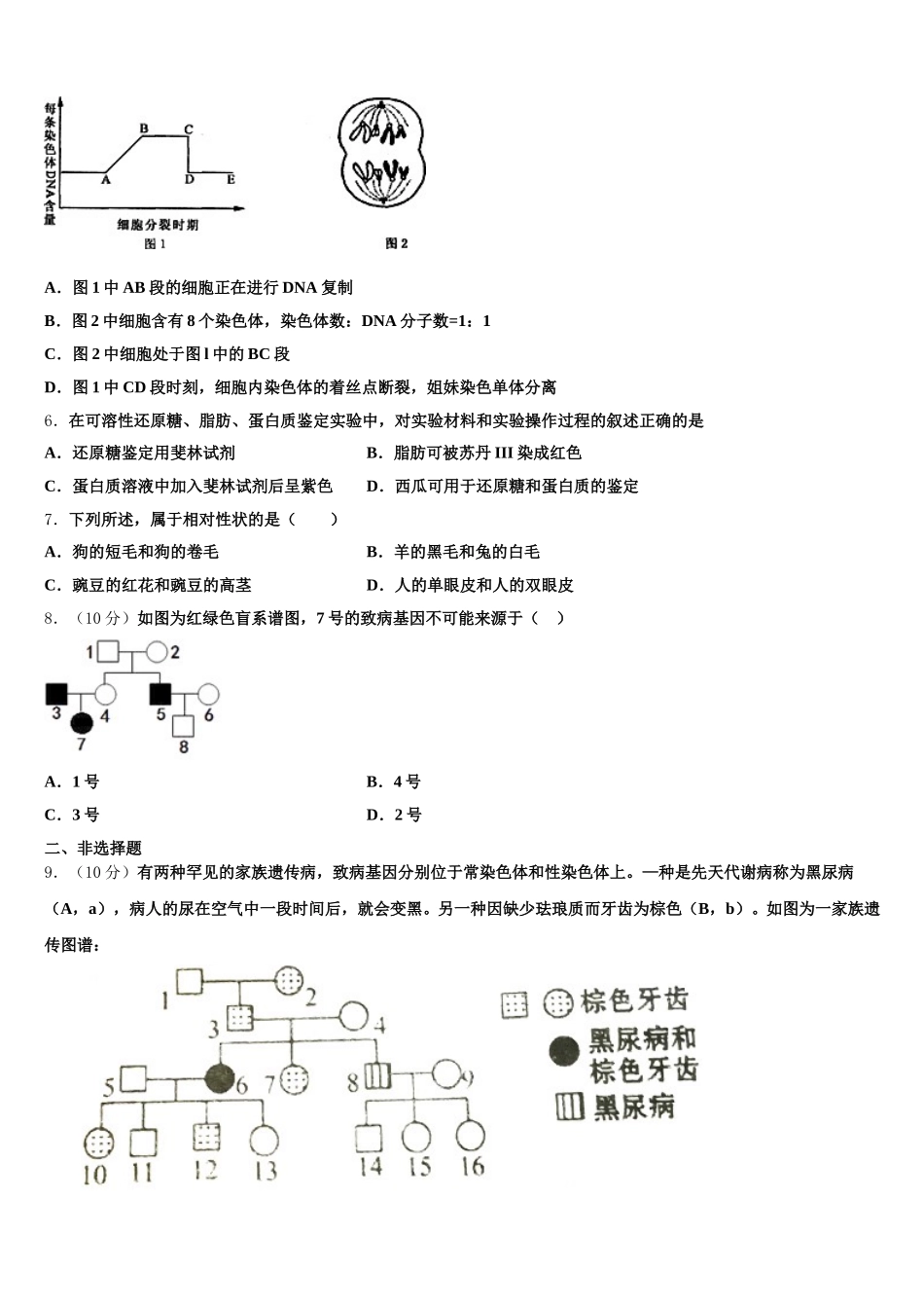 广东省普宁市华美学校2025年生物高一下期末综合测试试题含解析_第2页