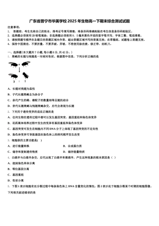 广东省普宁市华美学校2025年生物高一下期末综合测试试题含解析