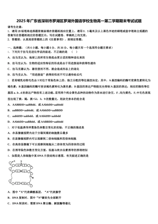 2025年广东省深圳市罗湖区罗湖外国语学校生物高一第二学期期末考试试题含解析