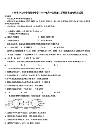 广东省中山市中山纪念中学2025年高一生物第二学期期末统考模拟试题含解析