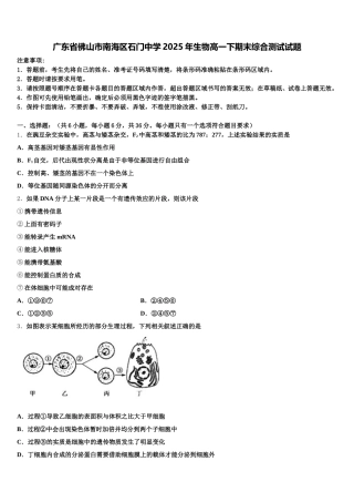 广东省佛山市南海区石门中学2025年生物高一下期末综合测试试题含解析