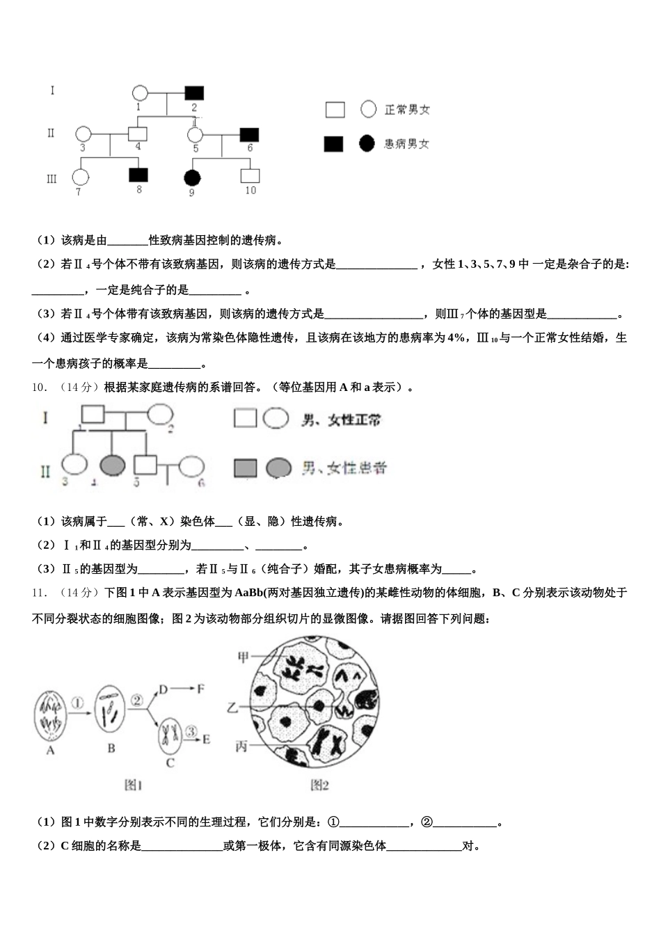 广东省深圳高级中学2025年高一下生物期末学业水平测试试题含解析_第3页