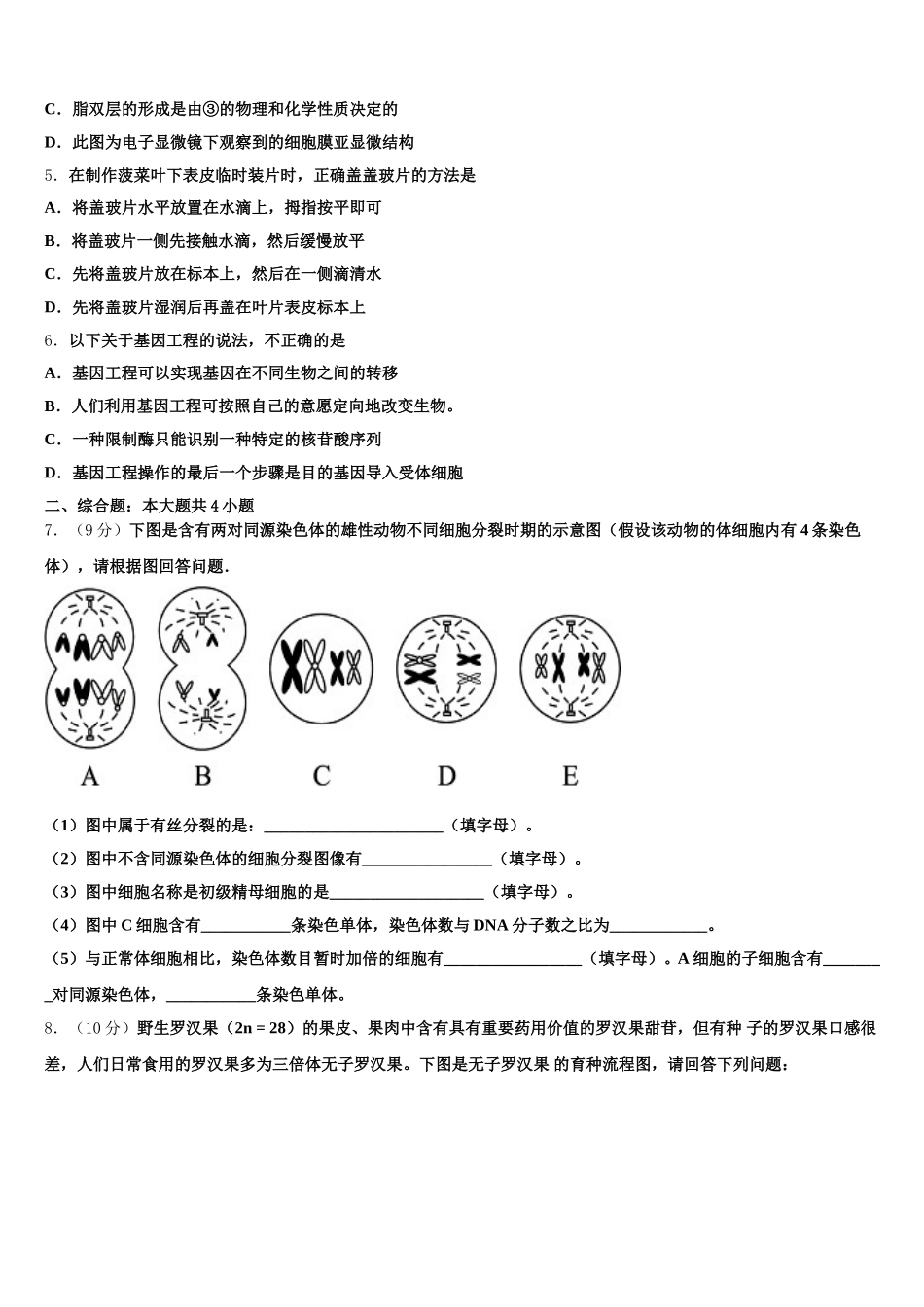2024-2025学年广东省-北京师范大学东莞石竹附属学校高一生物第二学期期末经典试题含解析_第2页
