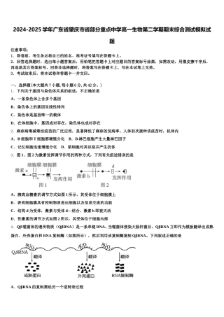 2024-2025学年广东省肇庆市省部分重点中学高一生物第二学期期末综合测试模拟试题含解析