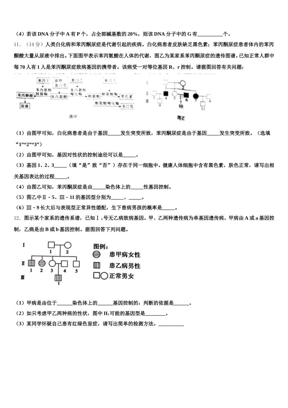 广东省普宁市新世界中英文学校2024-2025学年高一生物第二学期期末质量检测模拟试题含解析_第3页