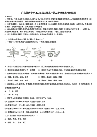 广东肇庆中学2025届生物高一第二学期期末预测试题含解析