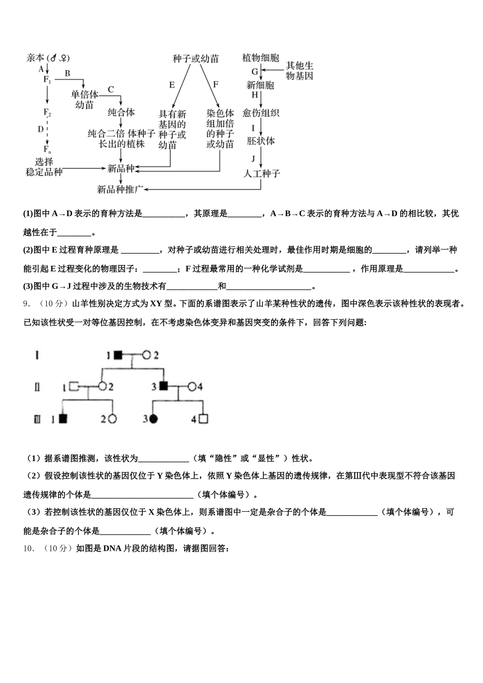 广东省汕头市潮南区峡晖中学2025届生物高一下期末教学质量检测模拟试题含解析_第3页