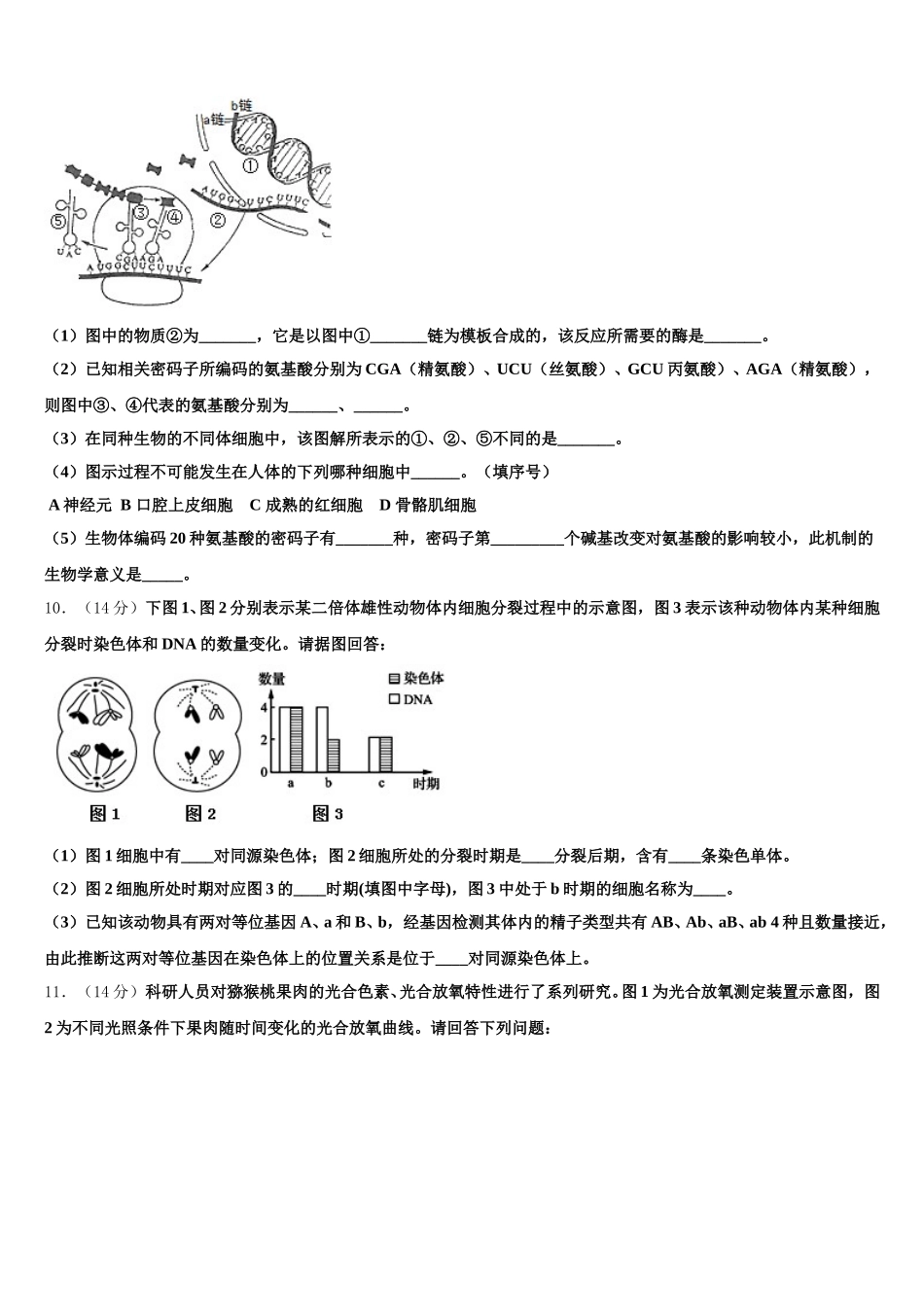 2025年广东省深圳市罗湖外国语学校高一生物第二学期期末调研模拟试题含解析_第3页