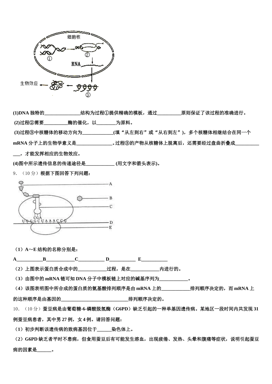 广东省广州市广东第二师范学院番禺中2025年生物高一下期末综合测试模拟试题含解析_第3页