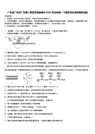 广东省广州市广东第二师范学院番禺中2025年生物高一下期末综合测试模拟试题含解析