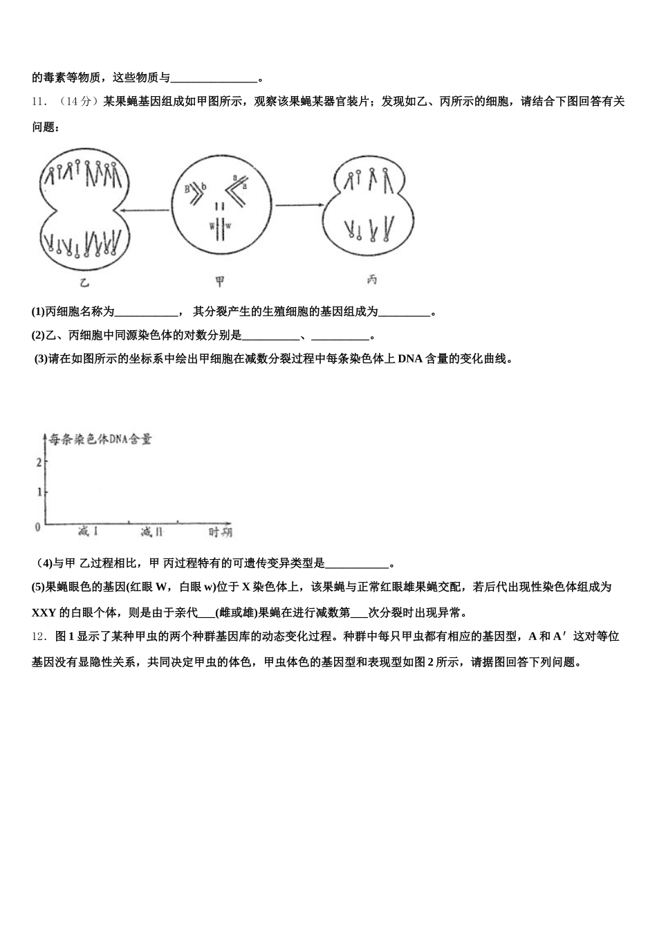 2025届广东省蕉岭县蕉岭中学生物高一下期末复习检测模拟试题含解析_第3页