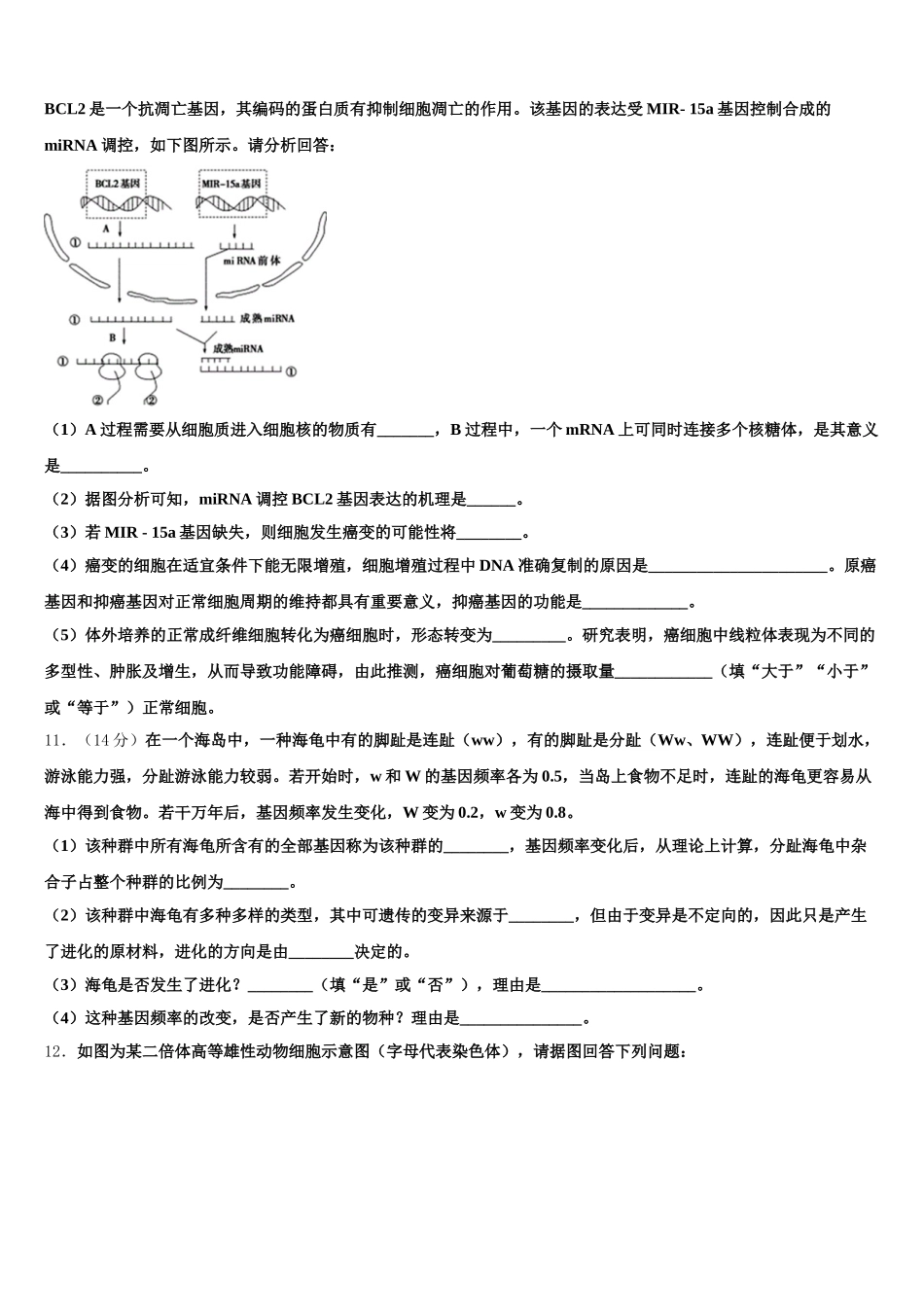 珠海市重点中学2024-2025学年高一生物第二学期期末复习检测试题含解析_第3页