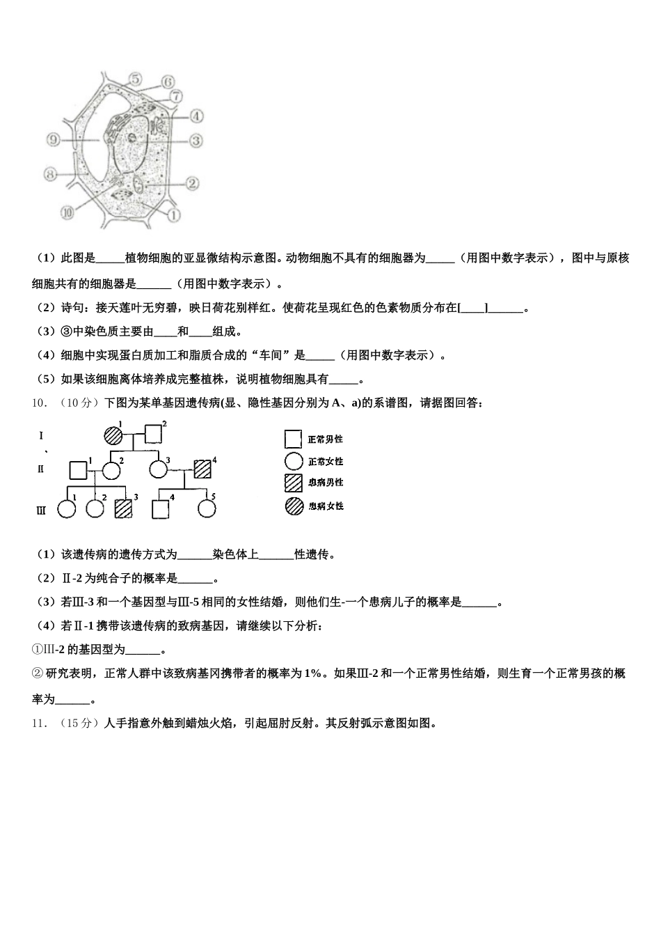 广东省粤西五校联考2025年生物高一第二学期期末经典试题含解析_第3页