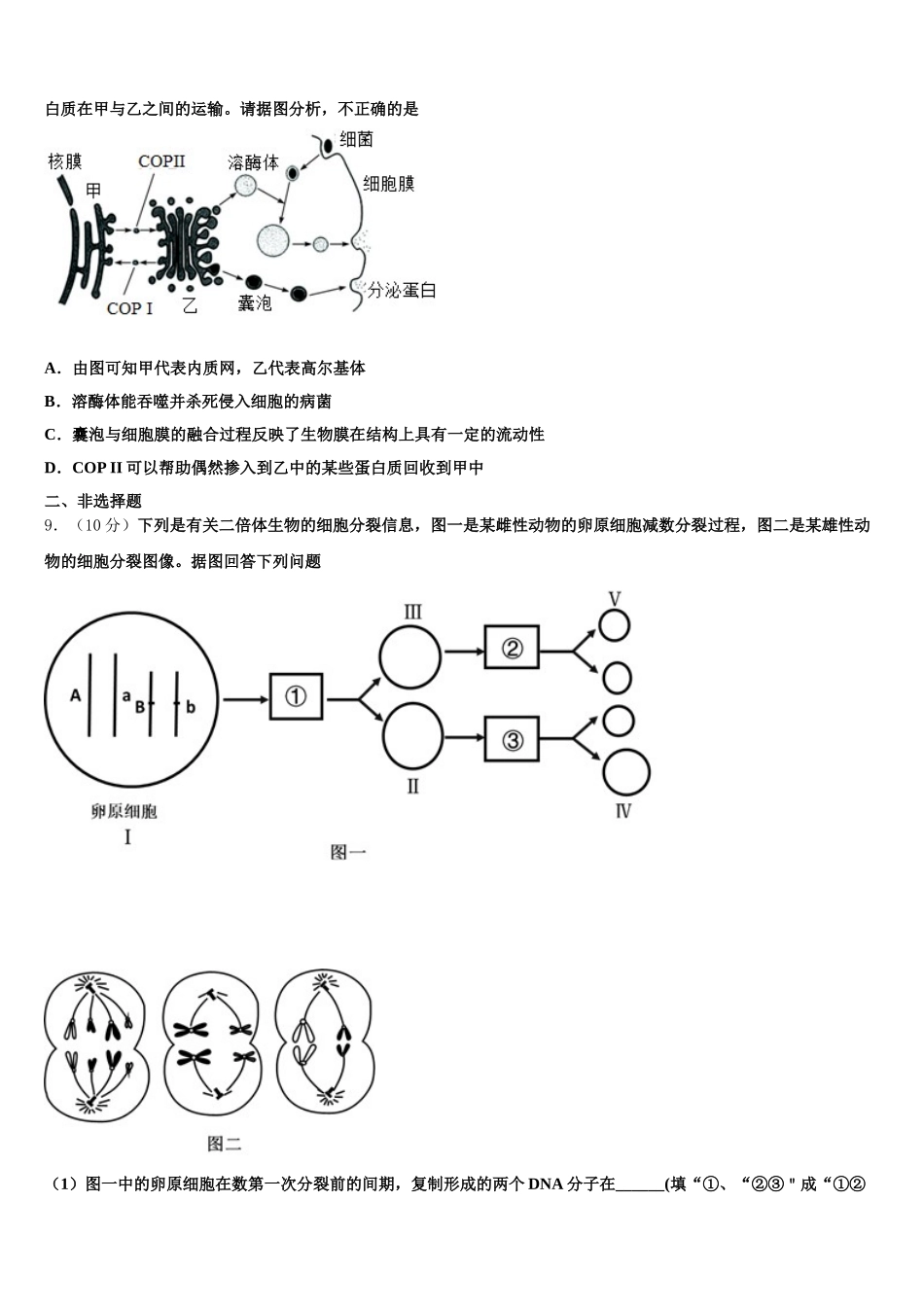 广东大埔华侨二中2024-2025学年高一生物第二学期期末学业质量监测试题含解析_第2页