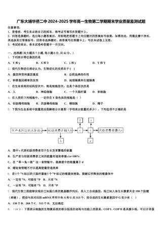 广东大埔华侨二中2024-2025学年高一生物第二学期期末学业质量监测试题含解析