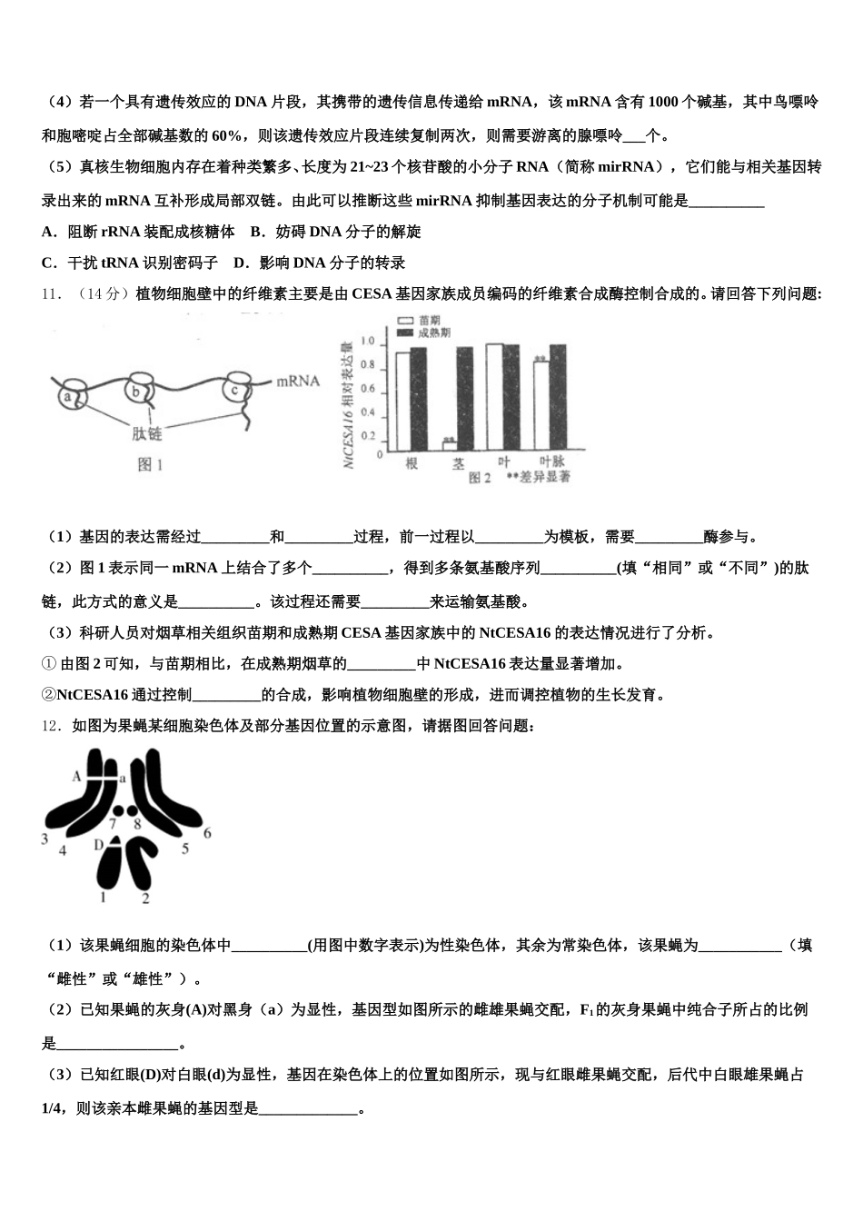2024-2025学年珠海市重点中学生物高一第二学期期末复习检测模拟试题含解析_第3页