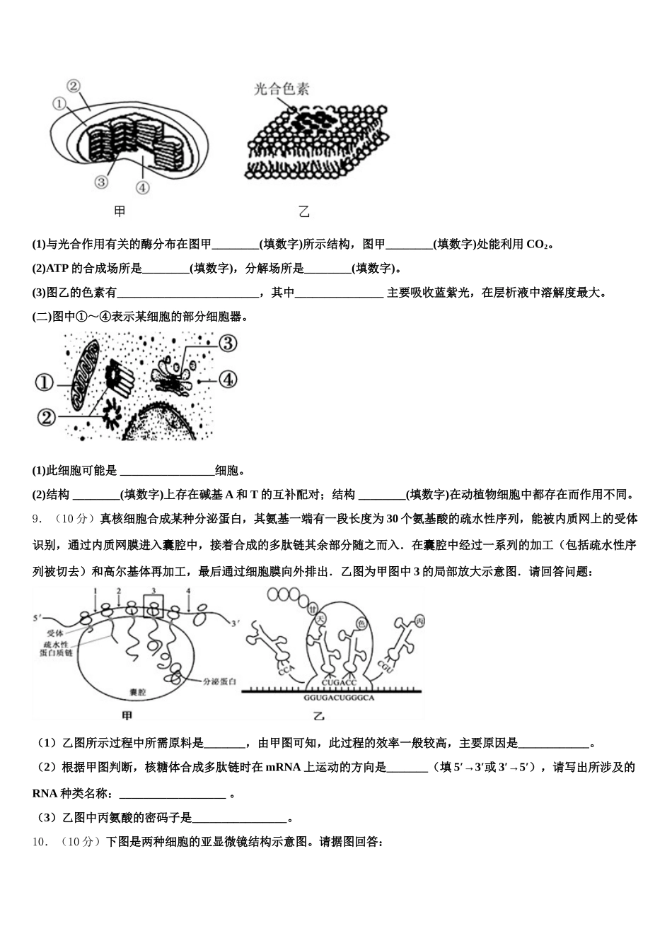 广东省深圳市西乡中学2025年高一下生物期末复习检测试题含解析_第3页