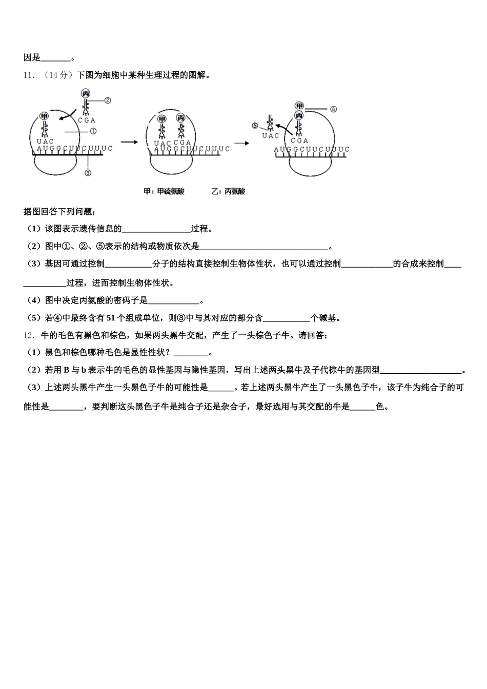 广东省汕头市下蓬中学2025届高一下生物期末复习检测试题含解析_第3页