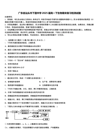 广东省汕头市下蓬中学2025届高一下生物期末复习检测试题含解析
