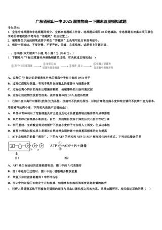 广东省佛山一中2025届生物高一下期末监测模拟试题含解析