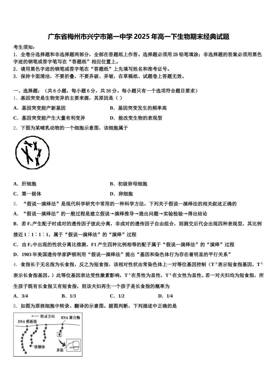 广东省梅州市兴宁市第一中学2025年高一下生物期末经典试题含解析_第1页