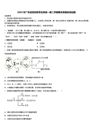 2025年广东省百校联考生物高一第二学期期末质量检测试题含解析