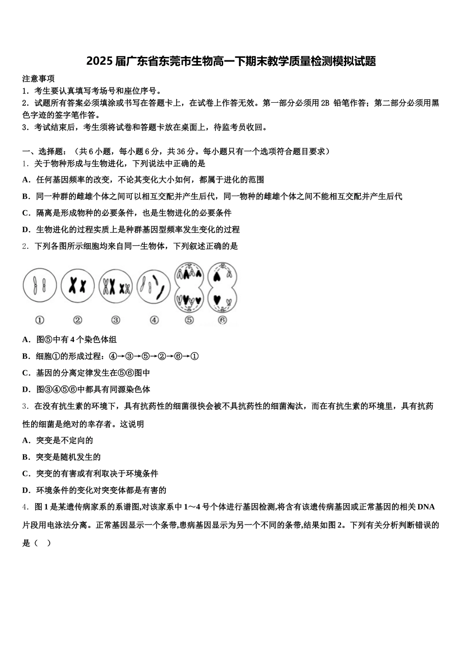 2025届广东省东莞市生物高一下期末教学质量检测模拟试题含解析_第1页