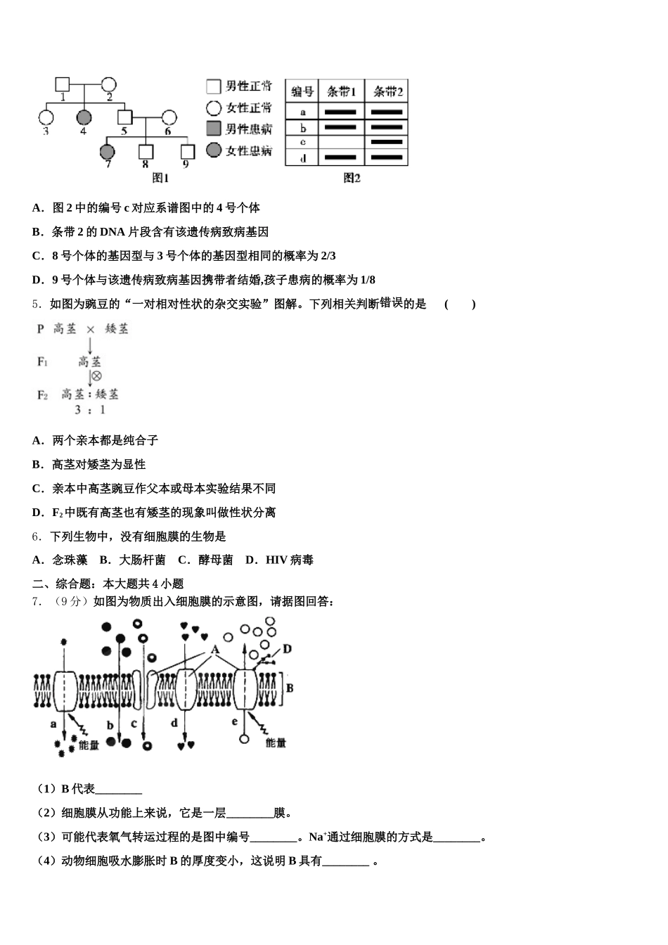 2025届广东省东莞市生物高一下期末教学质量检测模拟试题含解析_第2页