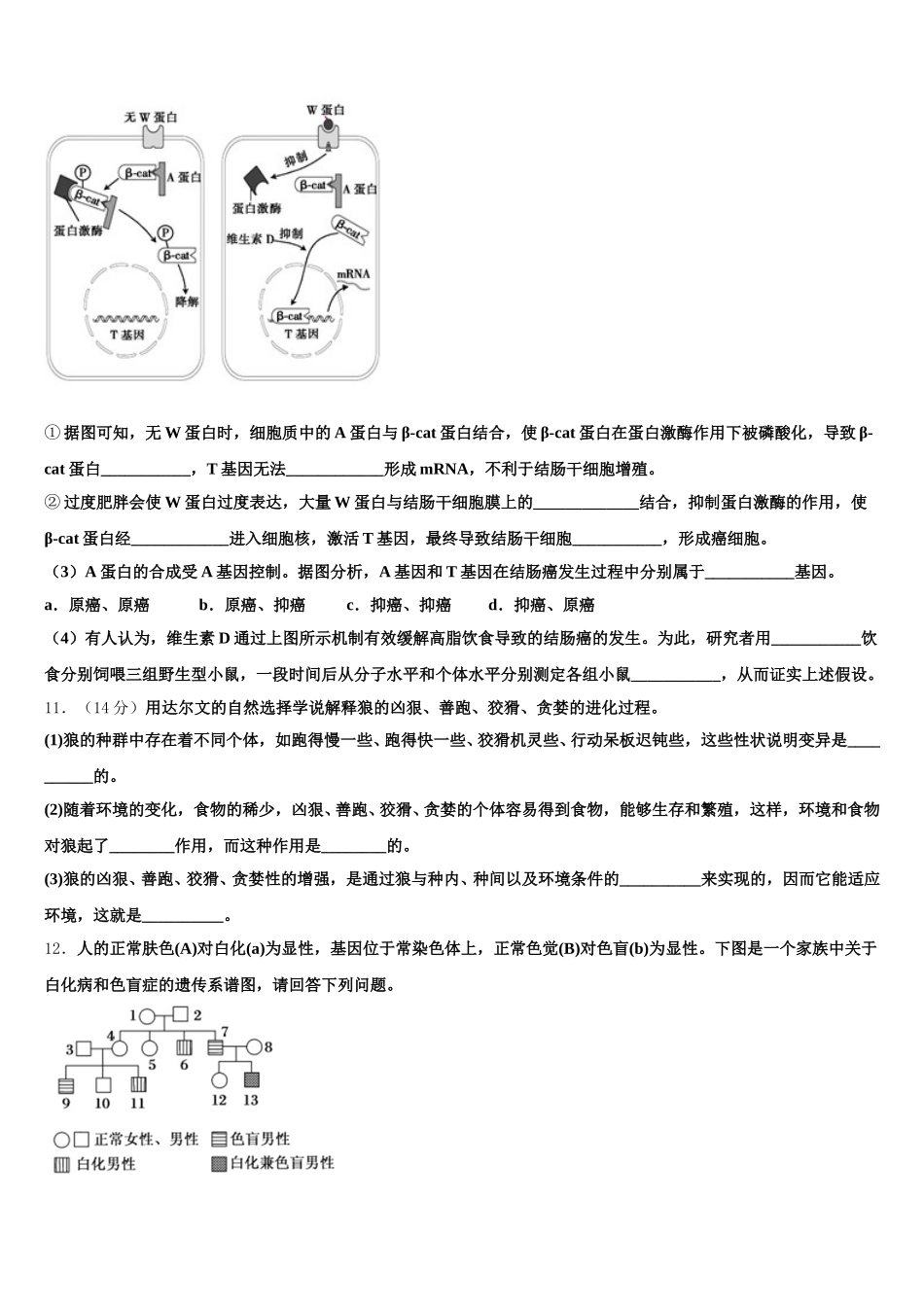 广东省陆丰市甲子中学2025年高一生物第二学期期末质量检测试题含解析_第3页