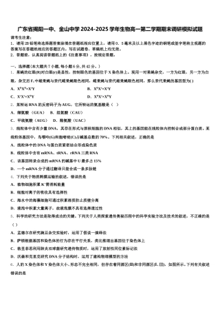 广东省揭阳一中、金山中学2024-2025学年生物高一第二学期期末调研模拟试题含解析