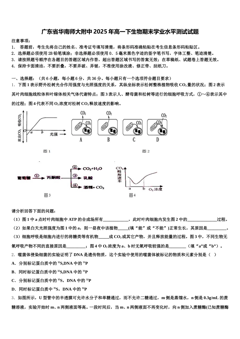 广东省华南师大附中2025年高一下生物期末学业水平测试试题含解析_第1页