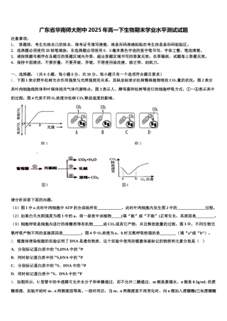广东省华南师大附中2025年高一下生物期末学业水平测试试题含解析
