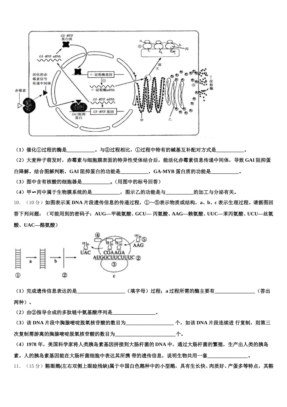 广东省广州市增城区第一中学2025届高一下生物期末达标测试试题含解析_第3页