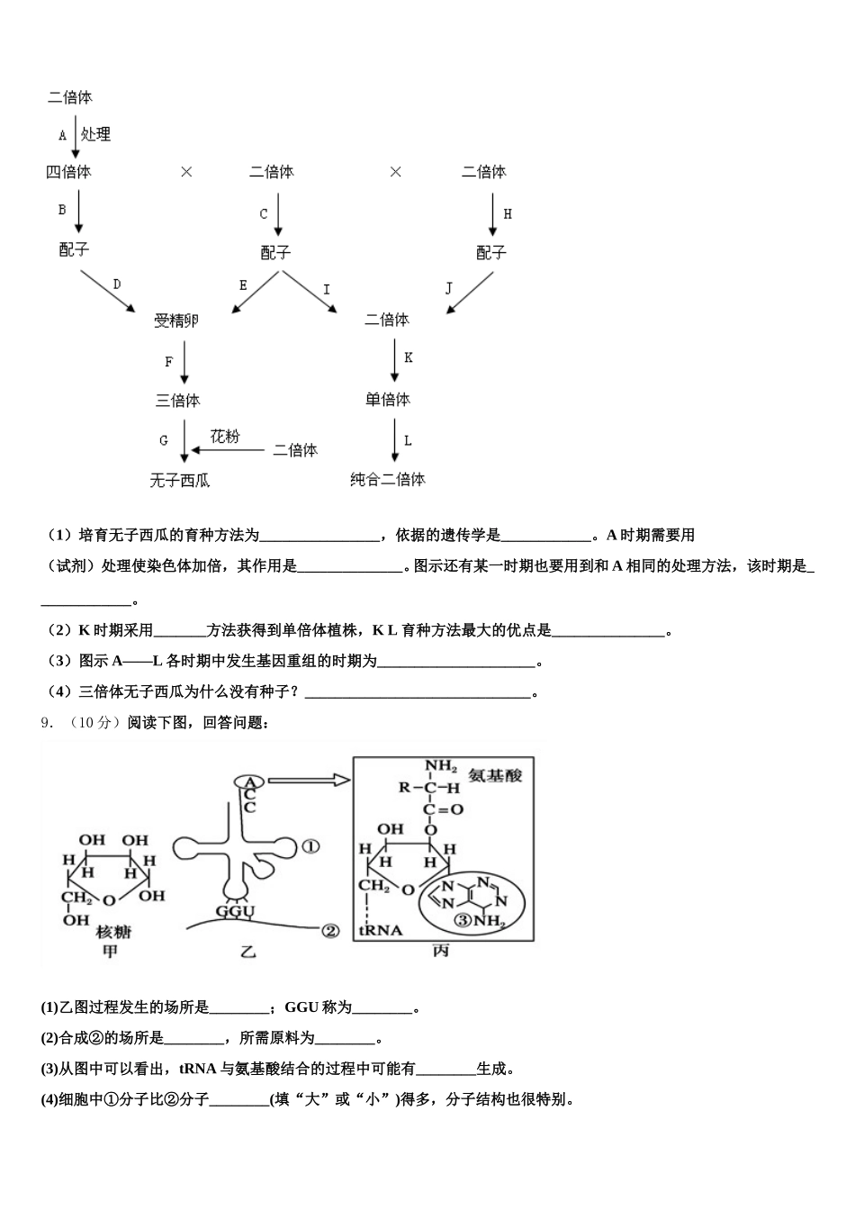 广东省深圳市四校发展联盟体2024-2025学年高一生物第二学期期末教学质量检测模拟试题含解析_第3页